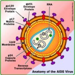 HIV/AIDS HASTALARINDA SIK GÃ–RÃœLEN AÄžRI SENDROMLARI